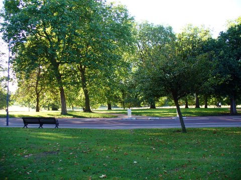 Park